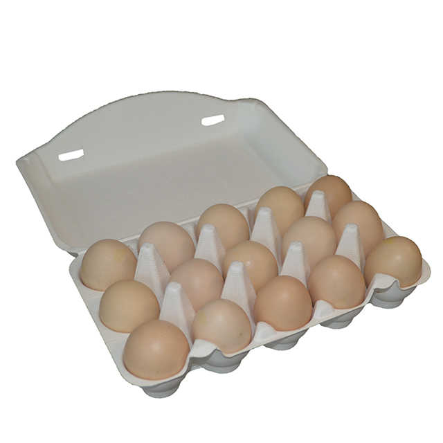 Biodegradable Recyclable Egg Cartons 